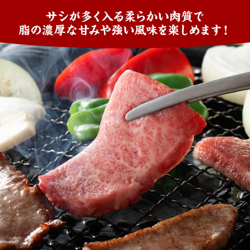 宮崎牛 特上カルビ 焼肉用 （三角バラ） 合計600g【 肉 牛肉 国産 宮崎県産 黒毛和牛 特上 カルビ 】