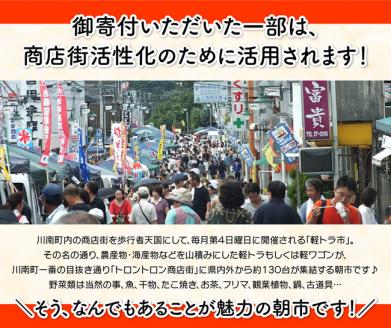 縲12繝カ譛亥ョ壽悄萓ソ縲大ョョ蟠守恁逕」闍・鮓上譌・蜊励←繧翫繧ゅb閧会シ繧縺ュ閧峨險4kgシ亥推2緕湘1シ 縲 縺オ繧九&縺ィ邏咲ィ 鮓剰i 鮓 闍・鮓 繧ゅb 繧縺ュ 繧サ繝繝 螳ョ蟠守恁逕」 蟾晏漉逕コ 縺翫≧縺。譎る俣 縺翫≧縺。縺斐ッ繧 螳壽悄萓ソ 騾∵侭辟。譁 縲