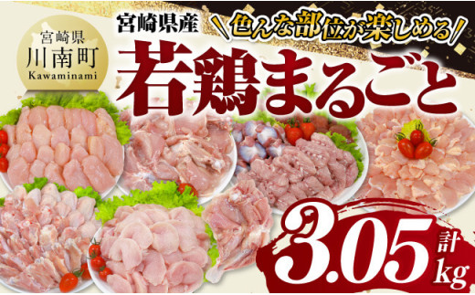 宮崎県産若鶏　まるごと3.05kg 【 もも むね ささみ 砂肝 手羽先 手羽元 小肉 鶏肉 とり肉 セット ごはん 料理 】