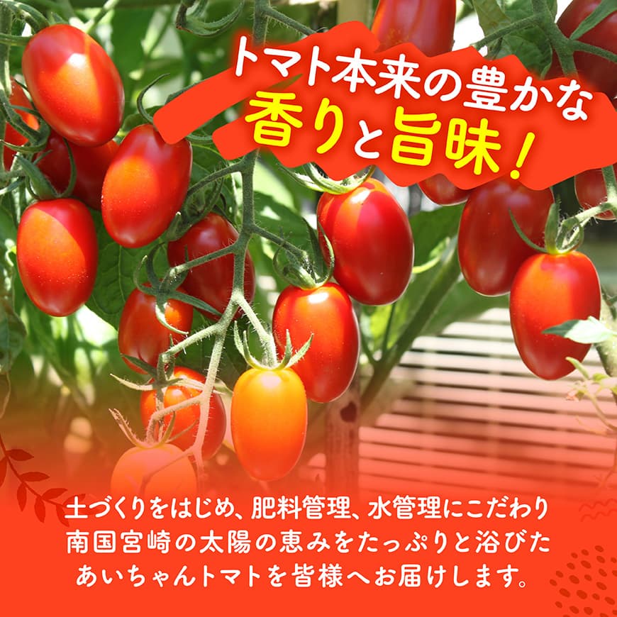 ã什å8幎çºéãå®®åŽçç£ããããããã1.5kgã&ãã¹ããããšã³ããŠ1kg ã éè ããããã ãšãŸãš ã¹ããããšã³ã㊠宮åŽçç£ å·åçºç£ éè ç£å°çŽé æ°é®® æ°ééå® ã