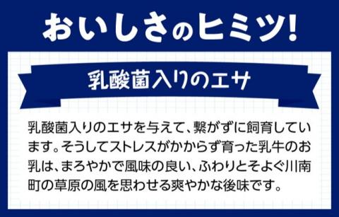 川南のさわやかな風セット【 アリマン 乳製品 加工品 牛乳 ヨーグルト バター 】 