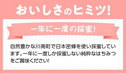 はちみつ（百花蜜）1ｋｇ【蜂蜜 国産 九州産 宮崎県産 はちみつ 川南町産】