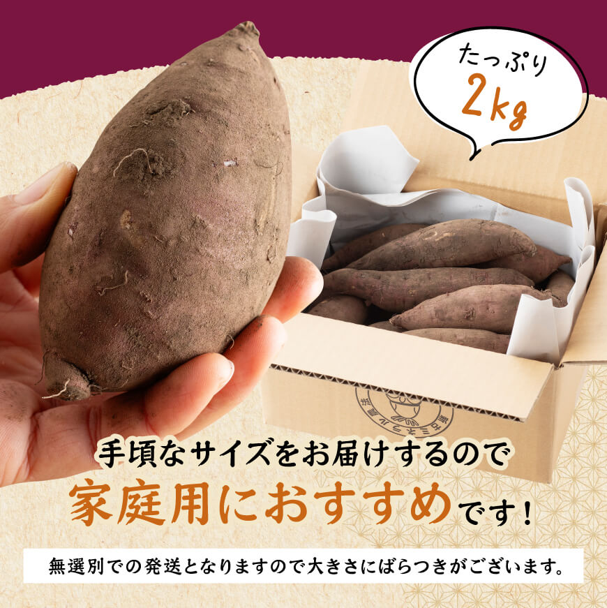 宮崎県産さつまいも　ミネラル栽培　紅はるか 2kg 【 宮崎県産 九州産 いも 芋 サツマイモ 野菜 】