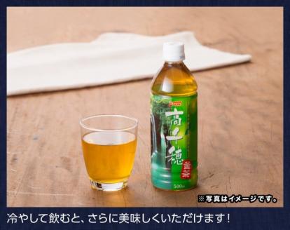 『サンＡ高千穂釜炒り茶』500ml×36本セット【お茶 釜炒り茶 レジャー 行楽 ペットボトル】