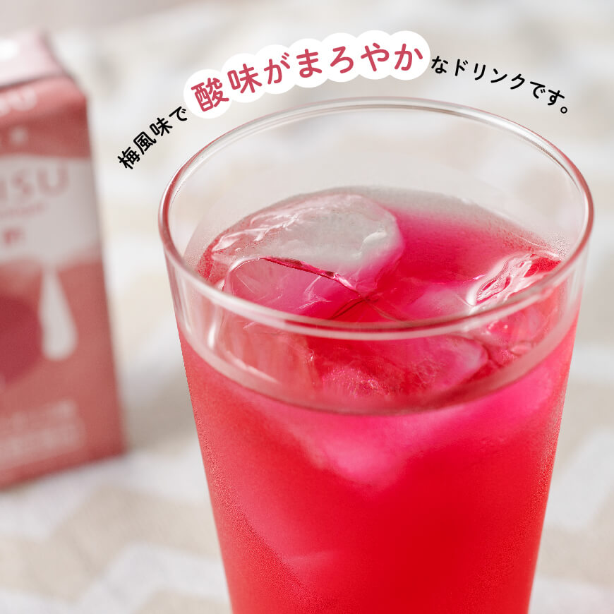 サンA 紅酢［機能性表示食品］紙パック 24本【 飲料 ガラクトオリゴ糖 ビフィズス菌 腸内環境 便通改善 酢 紅酢 】
