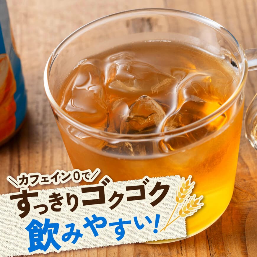 サンA宮崎のむぎ茶　500ml PET×18本 【 飲料 お茶 麦茶 宮崎県産 ペットボトル】
