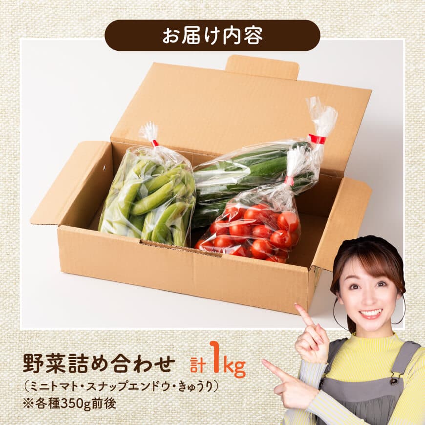 宮崎県佐光農園産　野菜詰め合わせ（ミニトマト・スナップエンドウ・きゅうり）計1kg 【 ミニトマト スナップエンドウ きゅうり 野菜 詰め合わせ 】