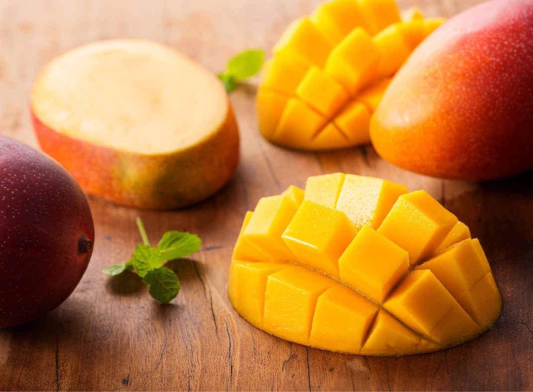 ã什å8幎çºéãå®®åŽçç£å®çãã³ãŽãŒãæå®ã®å®ç³ãã4LÃ1ç ã æç© ãã«ãŒã ãã³ãŽãŒ å®®åŽçç£ ã¿ããããã³ãŽãŒ å
è¡äºçŽ æ°ééå® æééå® ã