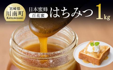 新はちみつ（百花蜜）1ｋｇ【蜂蜜 国産 九州産 宮崎県産 はちみつ 川南町産】