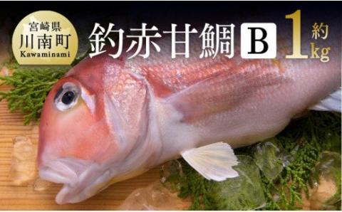 『釣赤甘鯛 Ｂ』【鮮魚 さかな 九州 宮崎 川南町 新鮮 魚介 魚 海の幸 G4406】