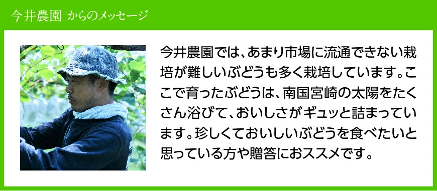 ã什å8幎ç£ããèš³ãããå°ç²ãªã·ã£ã€ã³ãã¹ã«ãã1kg ã ã¶ã©ã æç© è¡è ãã«ãŒã ãã㊠ãã¶ãŒã å·åçºç£ æ°ééå® æééå® ã