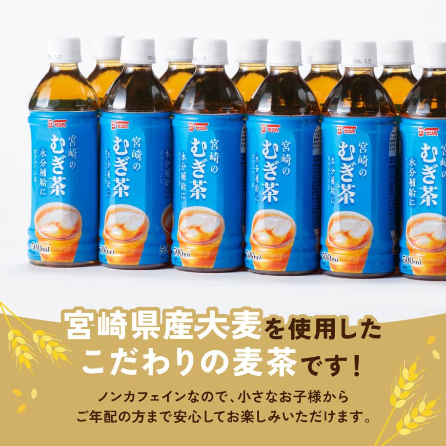 サンA 宮崎のむぎ茶 500ml PET 18本入り×2ケース 【 お茶 麦茶 宮崎県産 ペットボトル  宮崎県農協果汁】