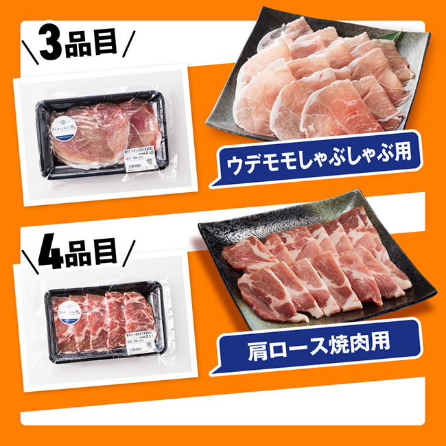 【令和8年6月発送】【いろんな料理にアレンジできちゃう満喫コース】（精肉）さんきょうみらい豚満喫セット【豚肉 ポーク ぶた 国産 宮崎県産 さんきょうみらい豚 大人気】
