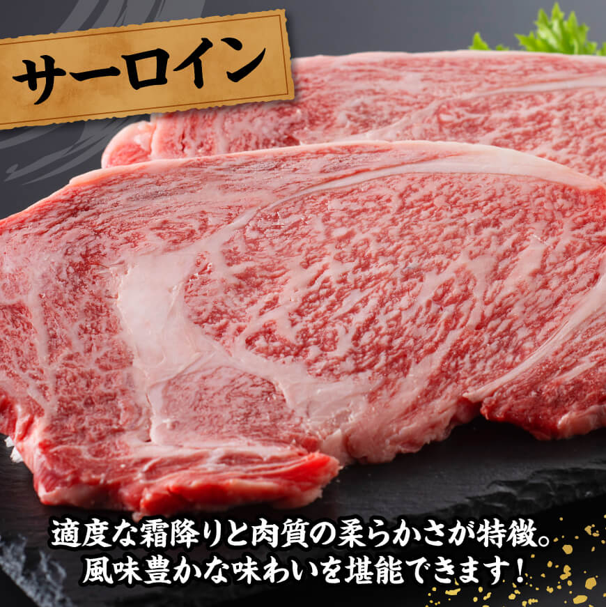 宮崎牛 サーロインステーキ 800g 【 肉 牛肉 国産 宮崎県産 黒毛和牛 サーロインステーキ 】