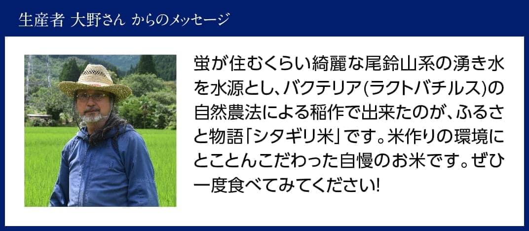 【6ヶ月定期便】【令和6年産】宮崎県産こしひかり 「シタギリ米」 5kg×2 【 お米 新米 2024年産 定期便 全6回 】