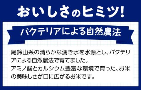 【令和6年産】 宮崎県産 こしひかり 「 シタギリ米 」 5kg×2 【 米 お米 白米 精米 国産 宮崎県産 こしひかり おにぎり 】