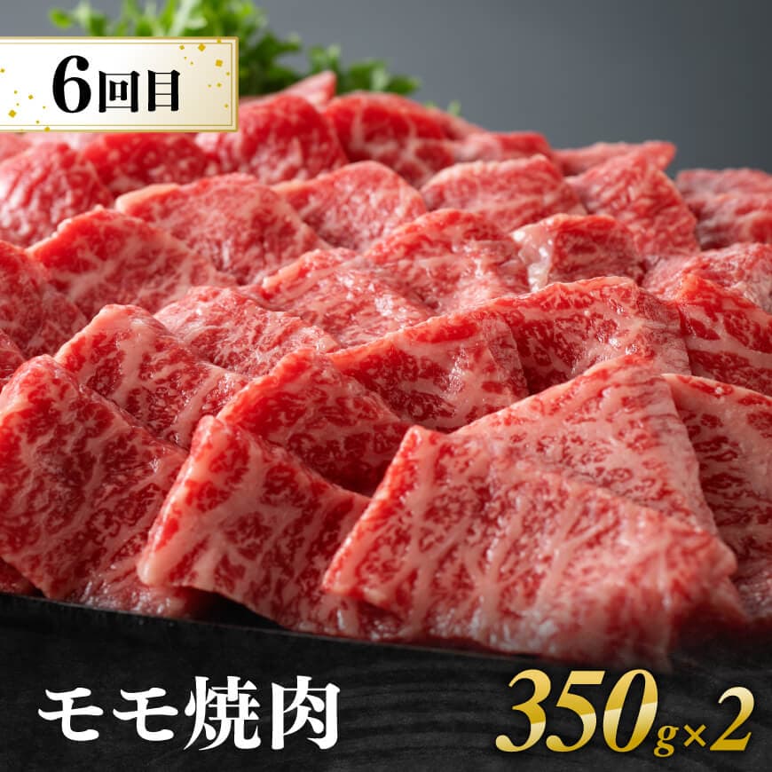 【6ヶ月定期便】厳選焼肉定期便【肉 牛肉 国産 宮崎県産 宮崎牛 焼肉 BBQ モモ ウデ 肩ロース 】