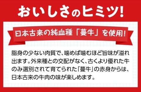 いぶさな牛 ハンバーグ 120g×4個 【 肉 牛肉 和牛 希少 ハンバーグ 焼くだけ 簡単 おうちごはん 】