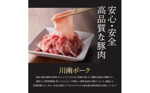 川南ポーク豚肉切り落とし2.25kg（250g×9袋）【 豚肉 豚 肉 切落し 九州産 国産 宮崎県産 切り落し 】