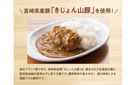 きじょん山豚 ハンバーグカレー 9食分(180g×9袋)【肉 豚肉 加工品 惣菜 レトルト 宮崎県産ブランド豚 おかず ハンバーグ カレーライス 簡単調理】