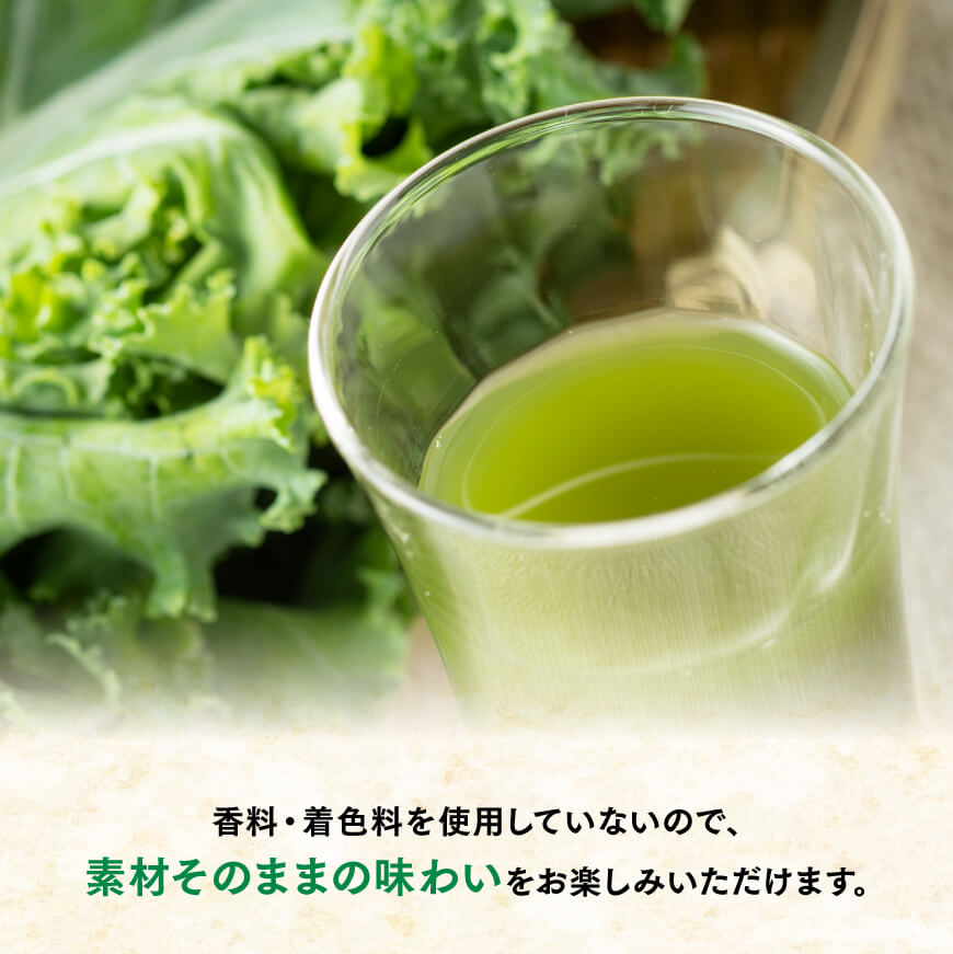 【3ヶ月定期便】毎日1杯の青汁無糖（紙パック）200ml×48本【 飲料類 野菜ジュース 野菜 ジュース 青汁 飲みもの 全3回 】