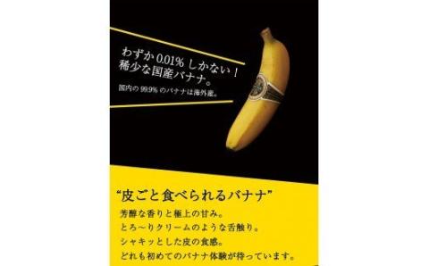 国産バナナNEXT716「6本」レギュラーサイズ【国産 バナナ 無農薬 フルーツ 果物 デザート 朝食 スムージー 川南町】