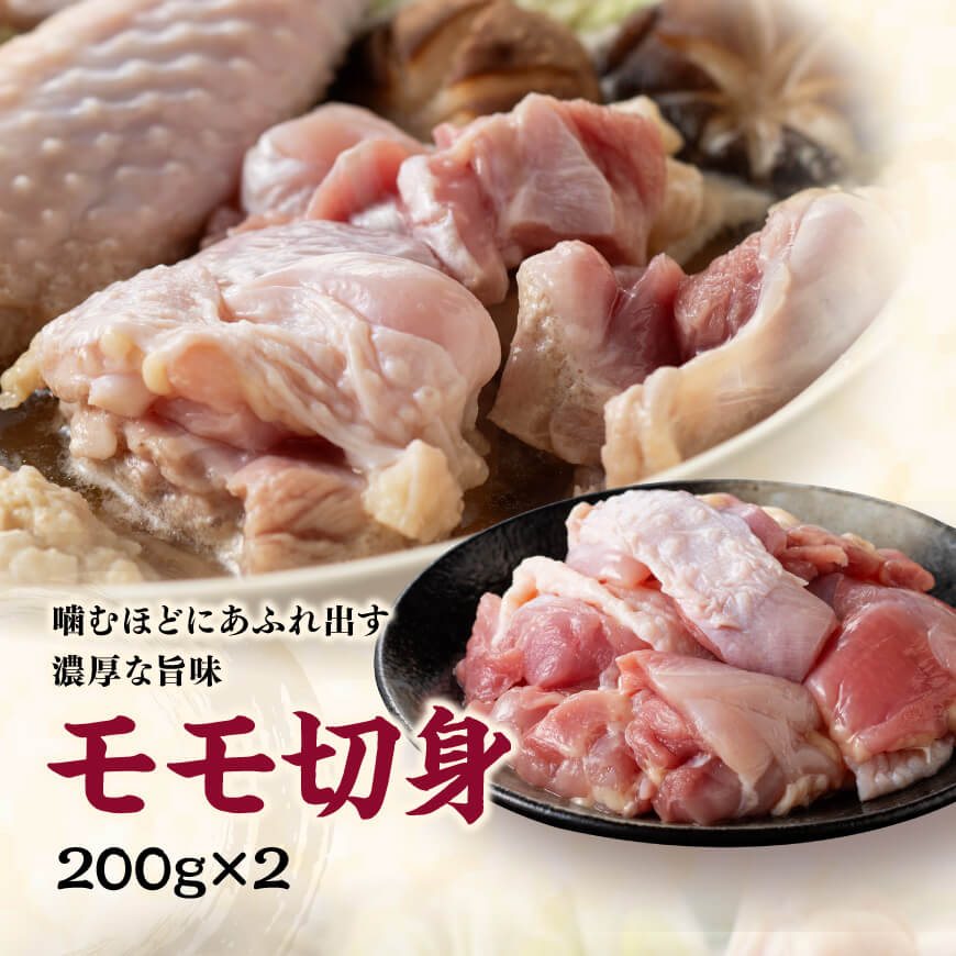 みやざき 地頭鶏　コラーゲン鍋セット【 鶏 肉 鶏肉 国産 とり 九州産 鳥 宮崎県産 モモ ムネつくね 手羽 】