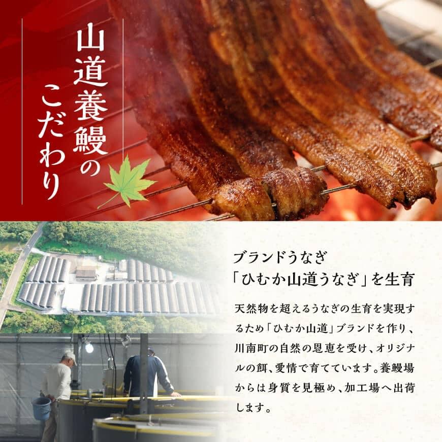 【訳あり】ひむか山道うなぎ蒲焼サイコロカット（260ｇ以上） 【 国産 九州産 宮崎県産 うなぎ ウナギ 鰻 蒲焼 】