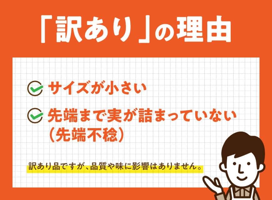 【訳あり】令和7年発送　宮崎県産とうもろこし　スイートコーン「ゴールドラッシュ」13～20本【新鮮 農家直送 トウモロコシ 産地直送 季節限定 期間限定 宮崎県産 九州産】