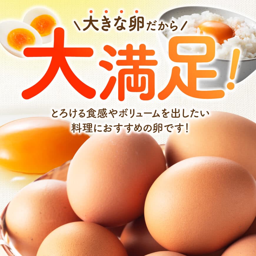 縲12繝カ譛亥ョ壽悄萓ソ縲大ョョ蟠守恁逕」鮓丞嵯縲縲悟漉蝗ス縺九i縺ョ雍医j迚ゥ縲榊、ァ縺阪↑蜊オ40蛟句・繧奇シ35蛟+遐エ謳崎」懷─5蛟具シ 縲 蜊オ 縺溘∪縺 譁ー魄ョ 縺翫≧縺。縺斐ッ繧 繧ソ繝槭ざ 縺翫≧縺。譎る俣 縲