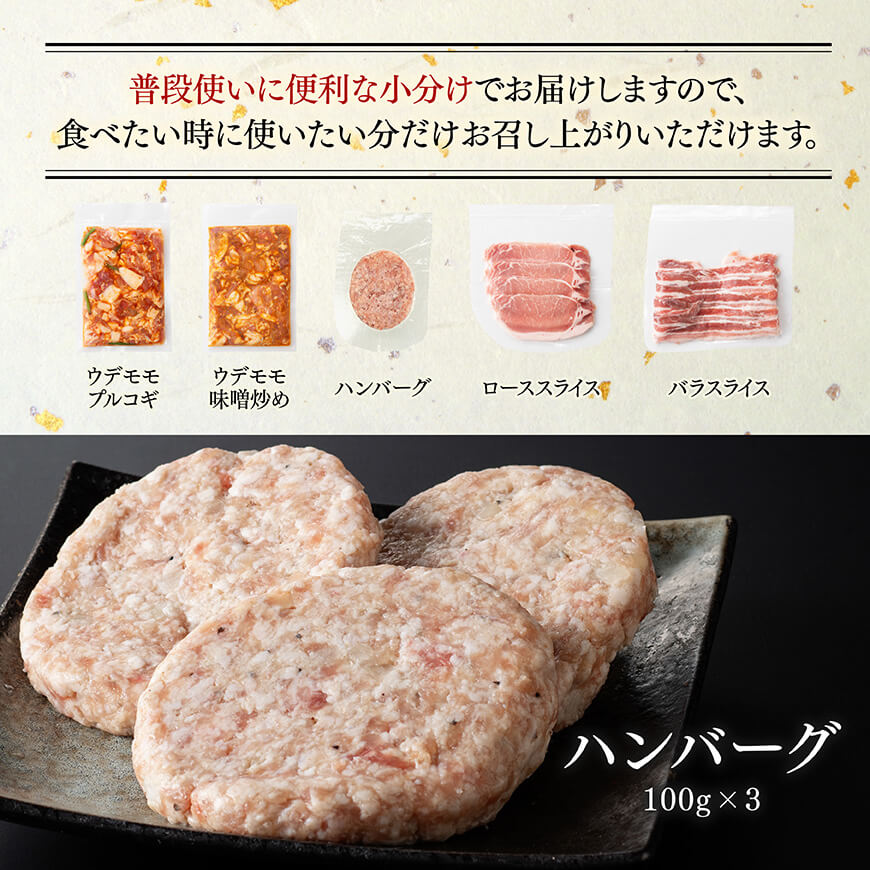 「まるみ豚」宮崎県産豚肉　人気セット　計1.1kg 【 豚肉 豚 肉 国産 川南町 ウデ モモ ハンバーグ ローススライス バラスライス 】