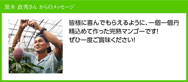 【令和7年発送】宮崎県産完熟マンゴー「おひさまハニーマンゴー」4L×2玉 【 果物 フルーツ マンゴー 宮崎県産 完熟マンゴー みやざきマンゴー 先行予約 数量限定 期間限定 】