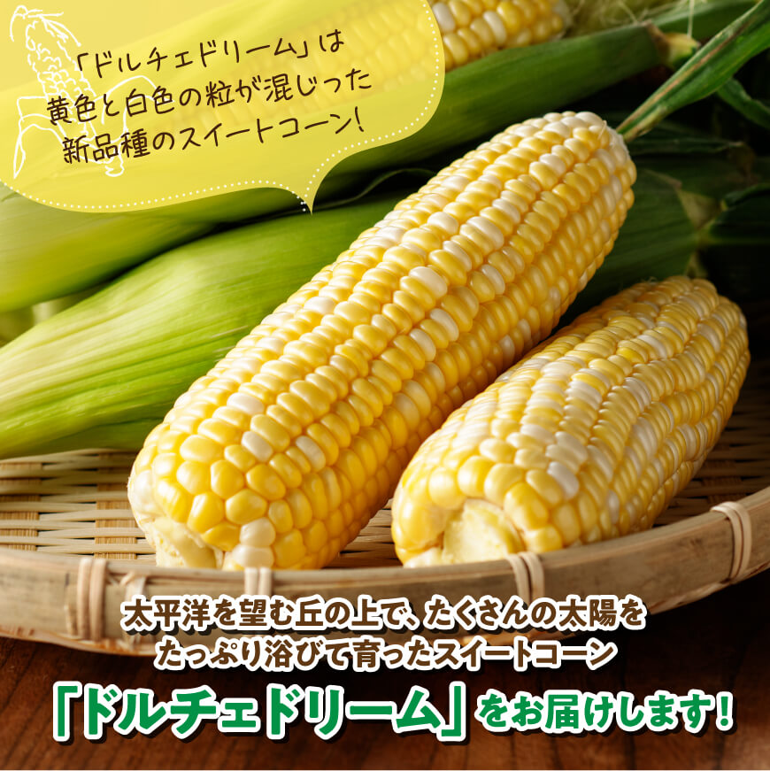 【令和7年発送】朝どれ！守部さんちのドルチェドリーム (2L)5kg【 先行予約 数量限定 期間限定 とうもろこし スイートコーン トウモロコシ スィートコーン 令和7年発送 】