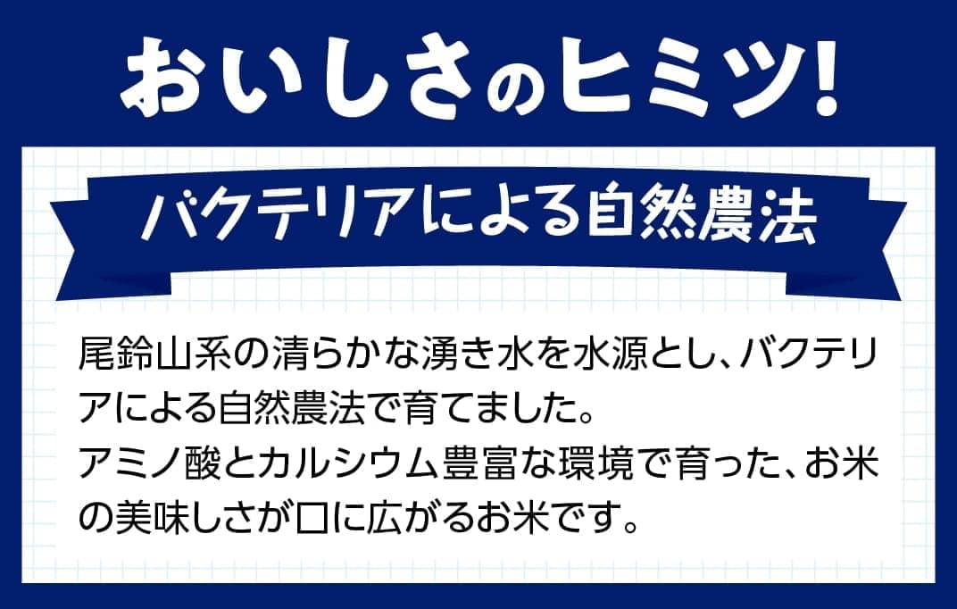 【3ヶ月定期便】※毎月20日頃発送※【令和6年産】宮崎県産こしひかり「シタギリ米」5kg×2 【 お米 新米 2024年産 定期便 全3回 】