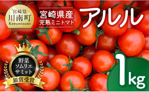 宮崎県産完熟ミニトマト「アルル」1kg 【 新鮮 アルル ミニトマト とまと 野菜 産地直送 宮崎県産川南町産 送料無料 】