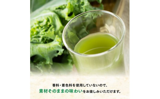 【3ヶ月定期便】毎日1杯の青汁無糖（紙パック）200ml×24本【 飲料類 野菜ジュース 野菜 ジュース 青汁 飲みもの 全3回 】