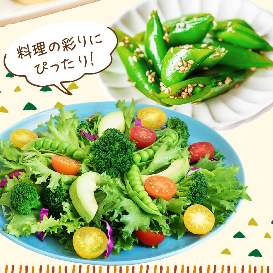 【令和7年発送】スナップエンドウ1.0kg 【 野菜 宮崎県産 川南町産 野菜 産地直送 新鮮 数量限定 】