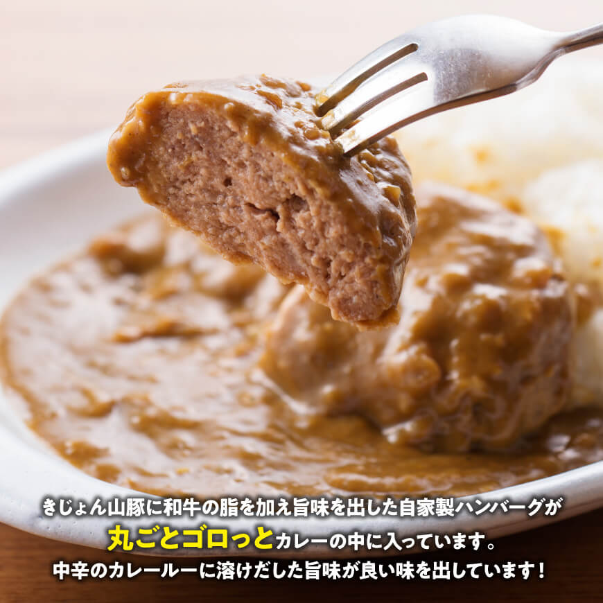 【3ヶ月定期便】月替わりおかずセット【 肉 豚 豚肉 ロース ハンバーグ カレー  】