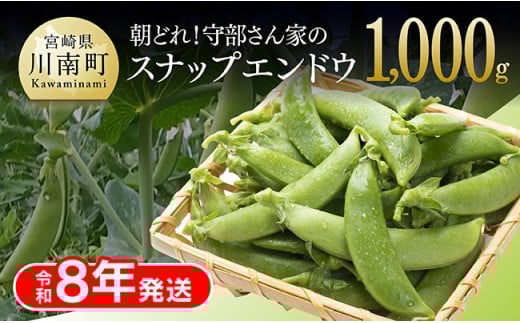 【令和8年発送】朝どれ！守部さん家のスナップエンドウ1.0kg 【 野菜 宮崎県産 エンドウ豆 えんどう豆 おつまみ 2026年発送 】