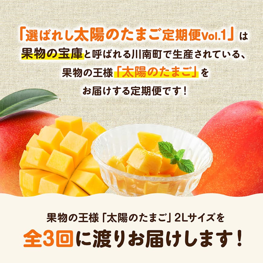 【3ヶ月定期便】選ばれし太陽のたまご定期便Vol.1 【 川南町産 くだもの マンゴー   】