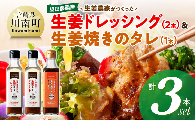 脇田農園産　生姜農家が作った生姜ドレッシング2本＆生姜焼きのタレ1本　計3本セット 【 生姜 ショウガ 国産 宮崎県産 九州産 川南町産 農家直送 しょうが 生姜焼きのたれ ドレッシング 】