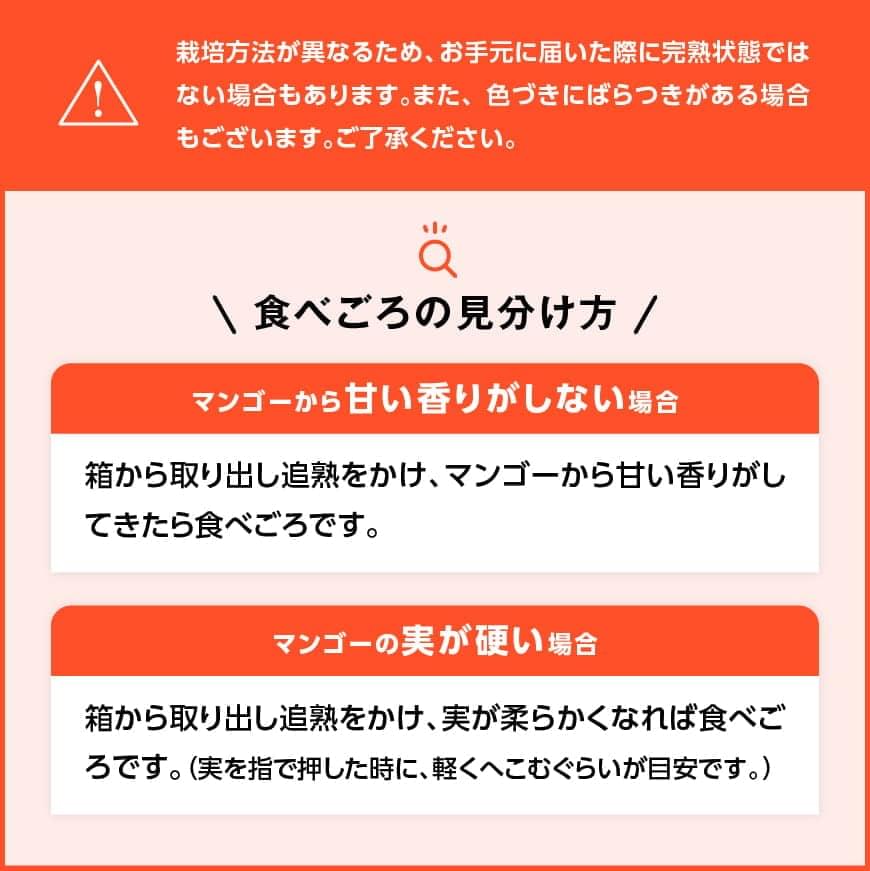 【令和7年発送】宮崎マンゴー 太陽の子３玉（1kg以上） 【 果物 くだもの フルーツ 宮崎マンゴー 】