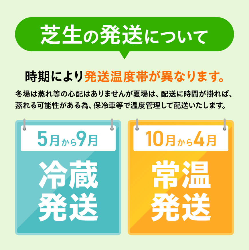 老舗日向芝産「姫高麗芝」2平方メートル 【 九州産 川南町産 宮崎県産 芝生 日本芝 ガーデニング 】