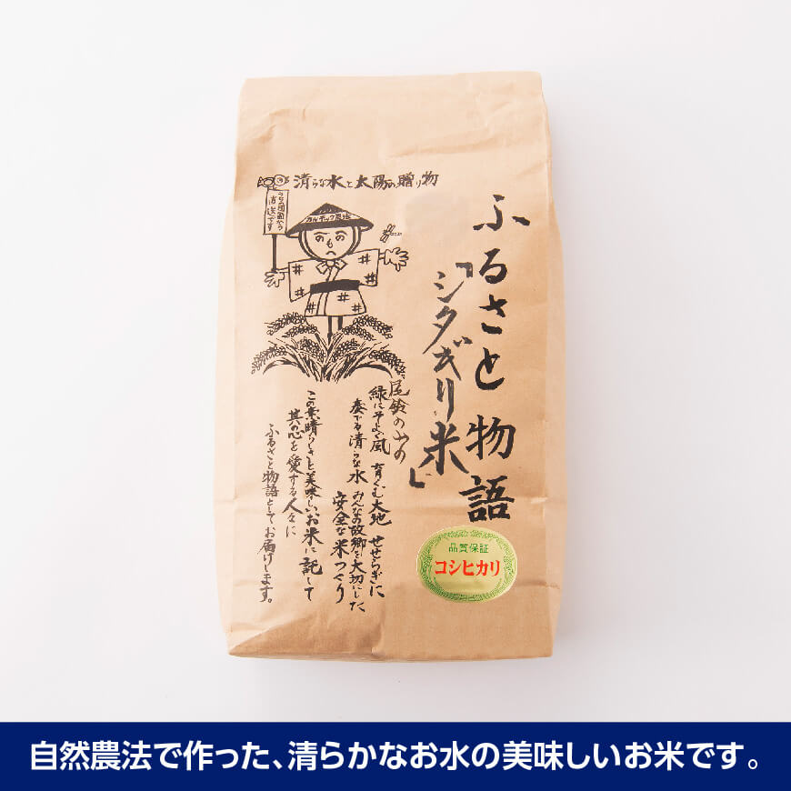 【6ヶ月定期便】※毎月20日頃発送※【令和6年産】宮崎県産こしひかり「シタギリ米」 5kg【 お米 新米 2024年産 定期便 全6回 】