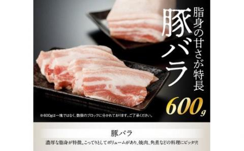 川南ポーク 豚肉4種(バラ、ロース、カタロース、ヒレ)食べ比べセット 2.4kg【国産 九州産 宮崎県産 肉 豚肉 フィレ ヘレ】