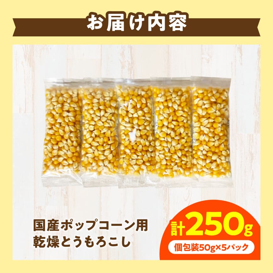 国産ポップコーン用（乾燥とうもろこし）　250g（個包装50g×5パック） 【 数量限定 期間限定 宮崎県産 ポップコーン 】