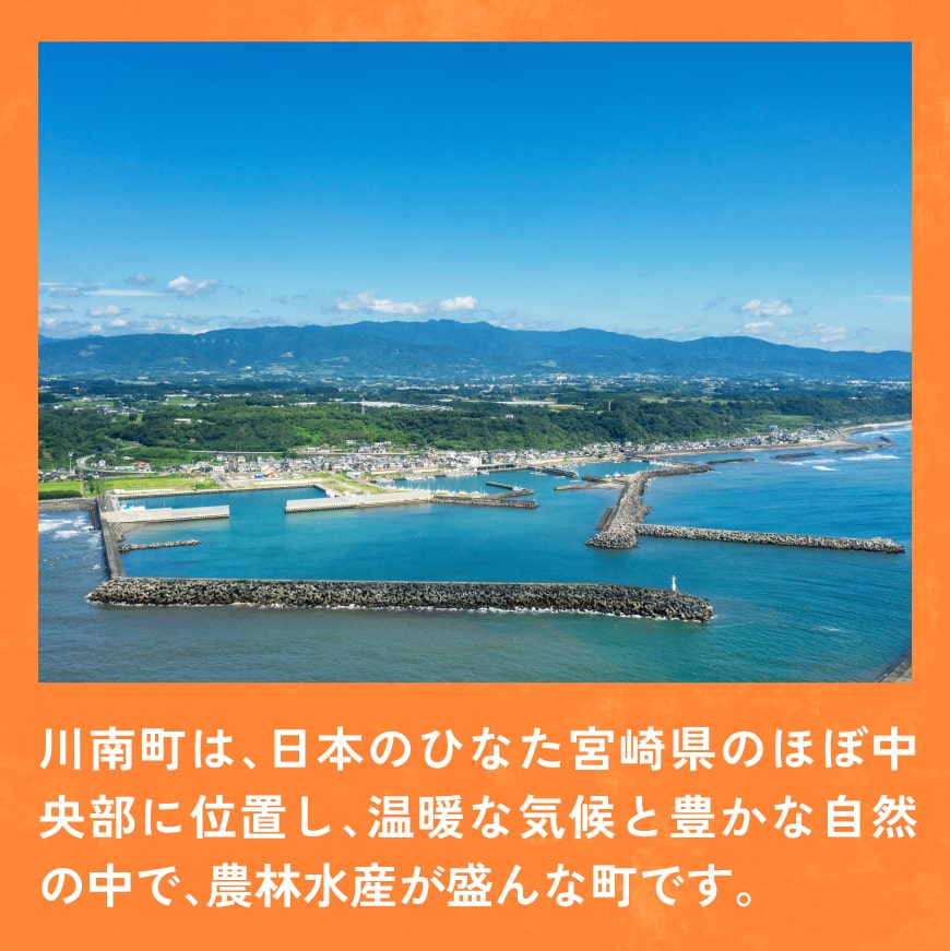 宮崎県産 若鶏 焼肉 4.2kg 【 もも 砂肝 小肉 チキンリブ 肩肉 鶏肉 とり肉 真空パック 】