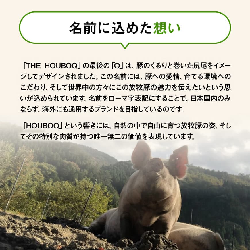 【12ヶ月定期便】宮崎県川南町産 放牧黒豚定期便 【 豚 肉 豚肉 国産 黒豚 九州産 宮崎県産 川南町 加工品 セット 送料無料 】