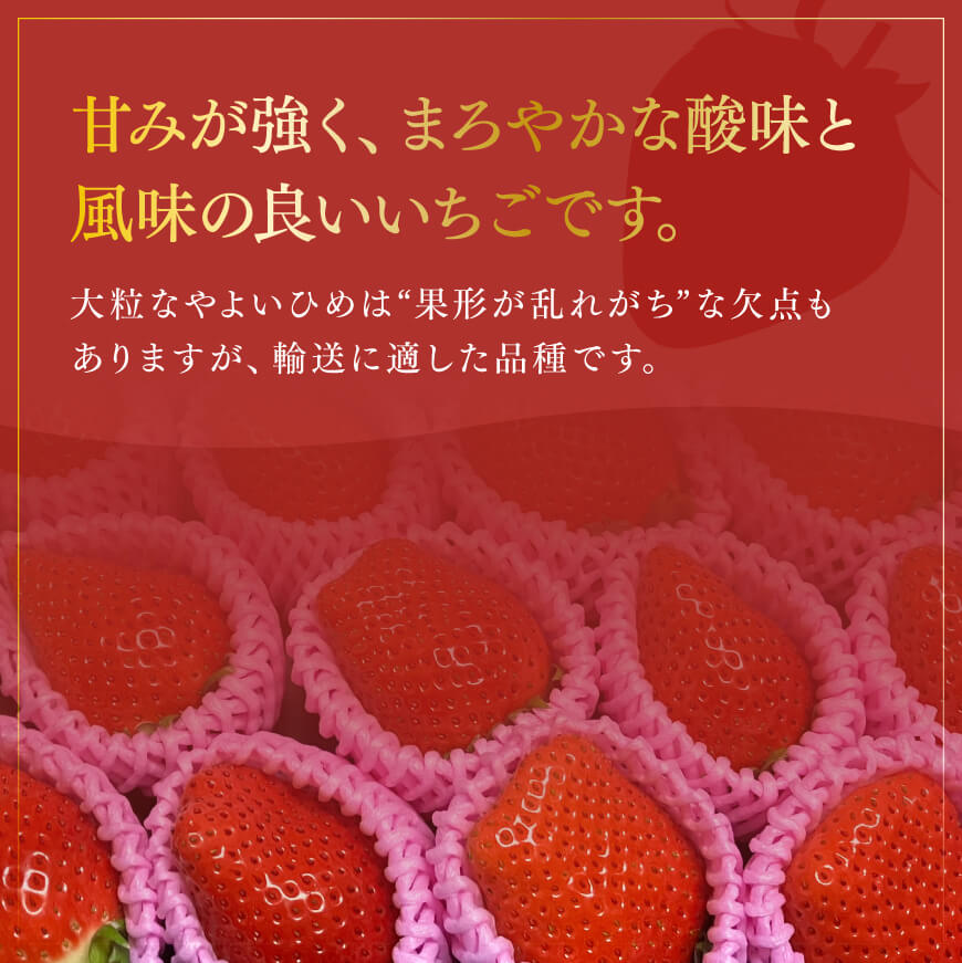 川南町産いちご「やよいひめ」計800ｇ【 先行予約 期間限定 果物 イチゴ 苺 フルーツ 】