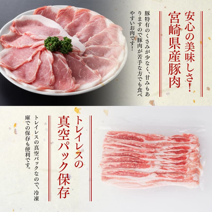 【6ヶ月定期便】 まるみ豚 ロース・バラ スライスセット 計2kg 【 宮崎県産 豚 ブランドポーク こま切れ まるみ豚 定期便 】